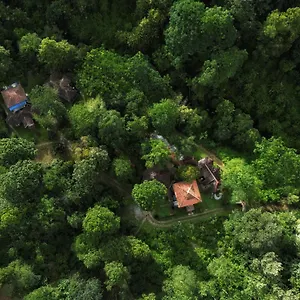 Holiday park Mahout Wayanad - An Experiential Jungle With Waterfall, Kalpetta